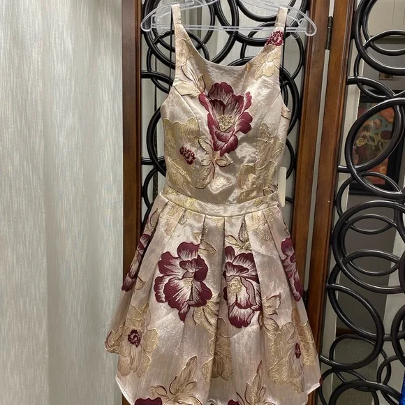 10+ Gold Brocade Dress
